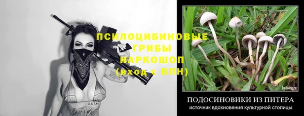 ешки Лиски