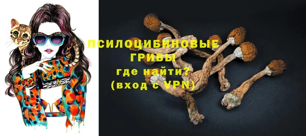 ешки Лиски